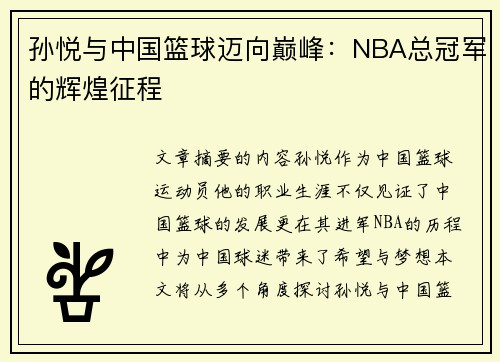 孙悦与中国篮球迈向巅峰：NBA总冠军的辉煌征程